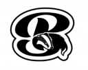 Belfast Badgers Logo